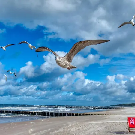 Διαμέρισμα 216 Z Basenem, Sauna, Jacuzzi, Przy Samej Plazy - 5d *