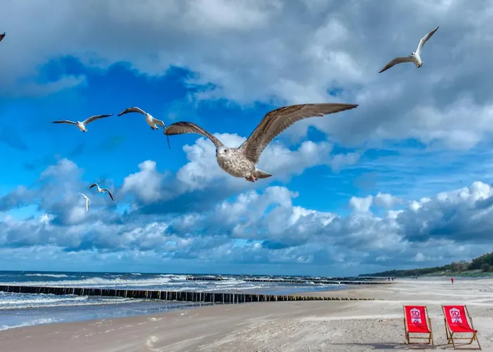 شقة 216 Z Basenem, Sauna, Jacuzzi, Przy Samej Plazy - 5d *